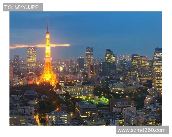 名古屋与东京城市发展对比分析及其经济文化影响探讨 名古屋与东京城市发展对比分析及其经济文化影响探讨