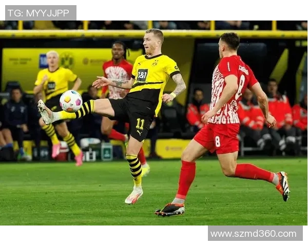 多特蒙德球迷暴力事件导致欧冠客场禁赛三场并罚款50万欧元 多特蒙德球迷暴力事件导致欧冠客场禁赛三场并罚款50万欧元