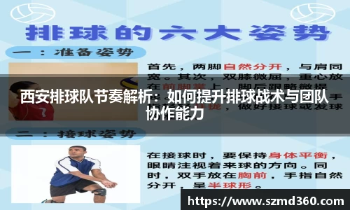 西安排球队节奏解析：如何提升排球战术与团队协作能力