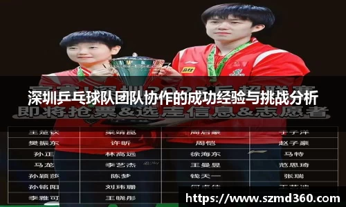 深圳乒乓球队团队协作的成功经验与挑战分析