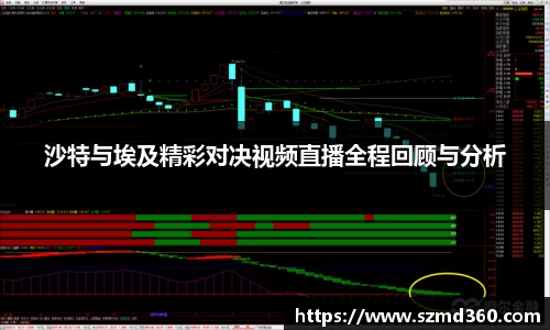 沙特与埃及精彩对决视频直播全程回顾与分析
